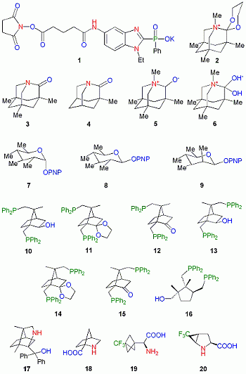 Model compounds in stereochemistry, physical organic chemistry, medicinal chemistry and catalysis